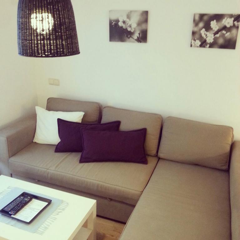 Apartamento Bielsa-Monte Perdido 部屋 写真