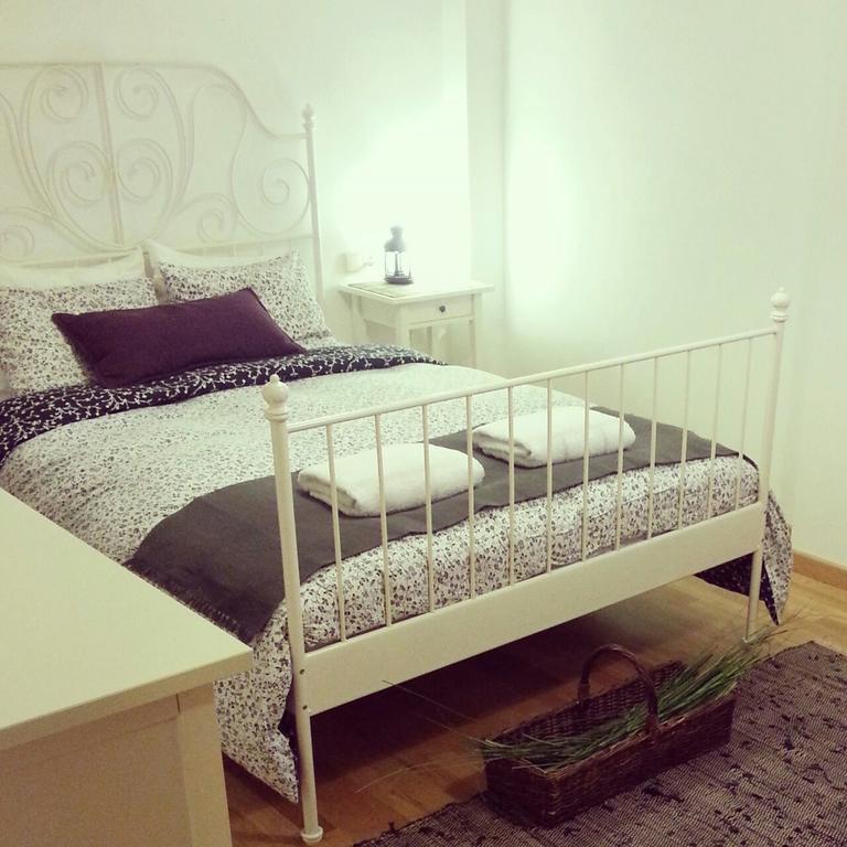Apartamento Bielsa-Monte Perdido 部屋 写真